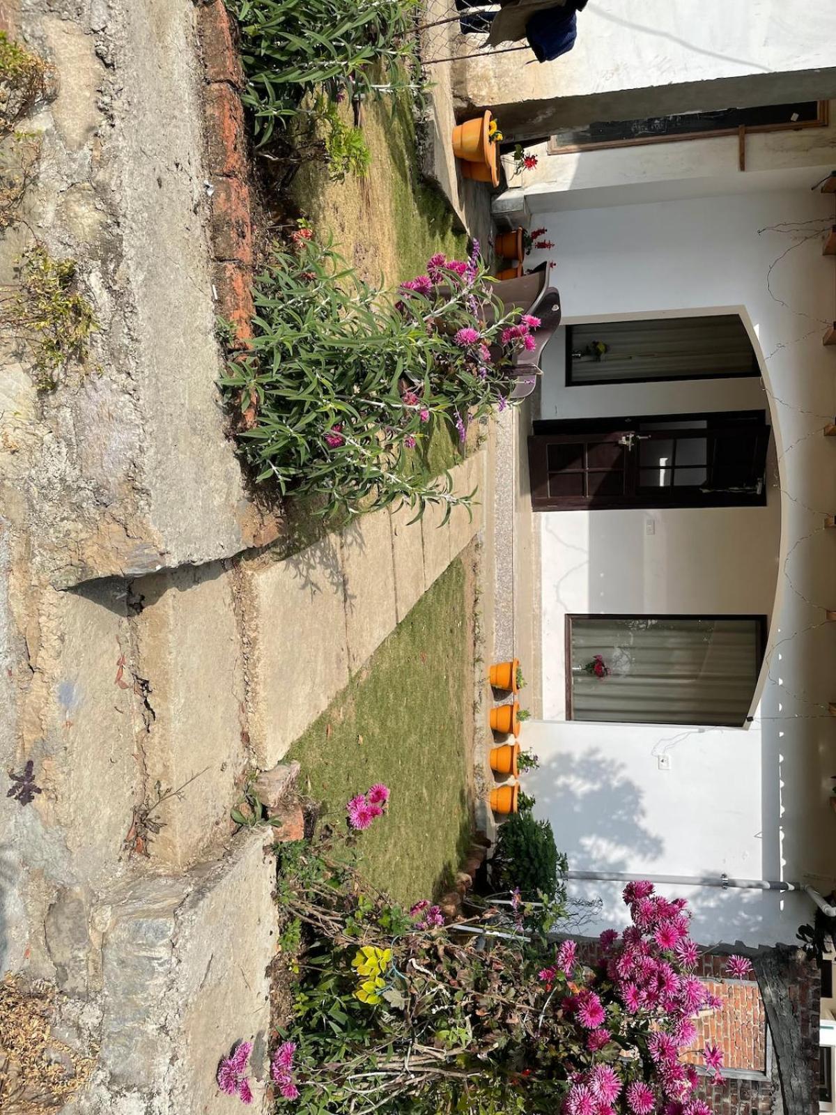 Kafal Tree Home Stay - Pet Friendly Bhowali Exterior photo